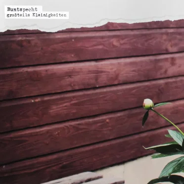 Großteils Kleinigkeiten by Buntspecht - album cover