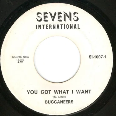 You Got What I Want by Buccaneers - album cover