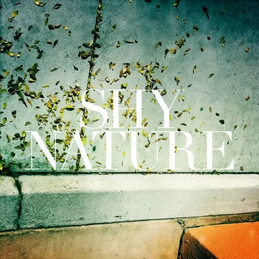 Shy Nature by Shy Nature - album cover