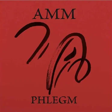 Phlegm by AMM - album cover