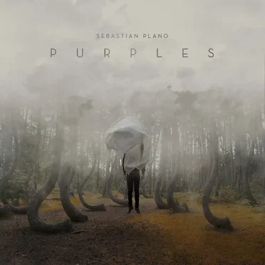 Purples by Sebastian Plano - album cover