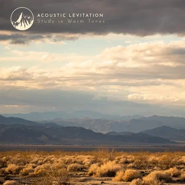 Acoustic Levitation