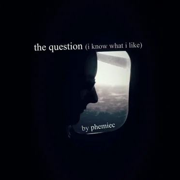 The Question (I Know What I Like)