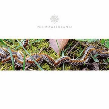 Niedowierzanie by Niedowierzanie - album cover