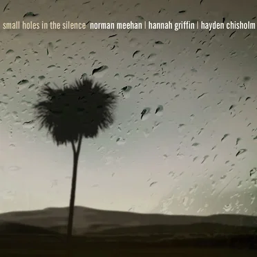 Small Holes in the Silence