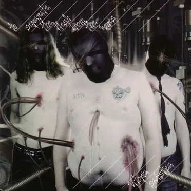 Utopia Sadistica by To Separate the Flesh From the Bones - album cover