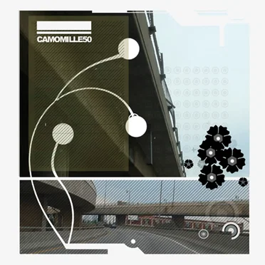 Matricaria Chamomilla by Various Artists - album cover
