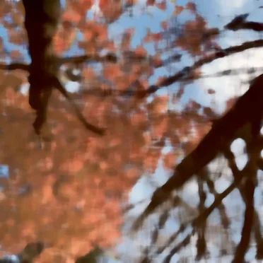 NOVEMBER