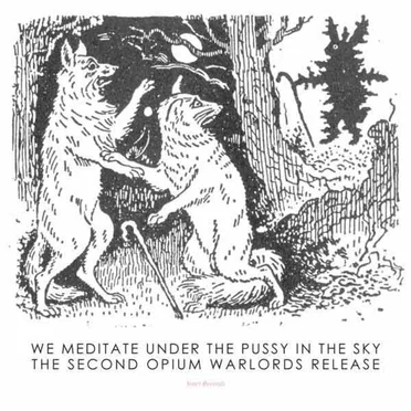We Meditate Under the Pussy in the Sky