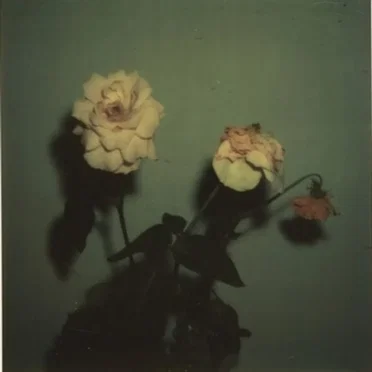 Give Me My Flowers While I Can Smell Them by Blu & Exile - album cover