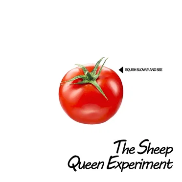 Not My Music Not Performed By Me Supplément Ketchup