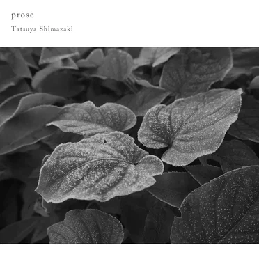 prose