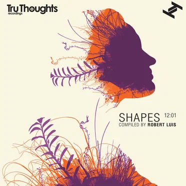 Shapes 12:01 by Robert Luis - album cover