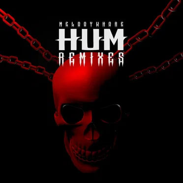 Hum (Remixes) by Melodywhore - album cover
