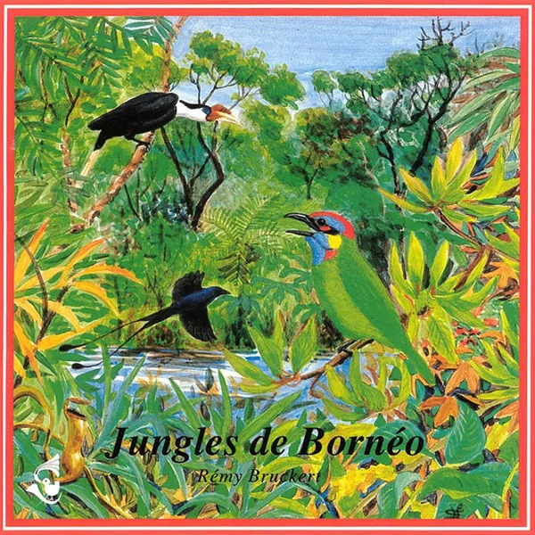 Jungles de Bornéo / Jungles of Borneo