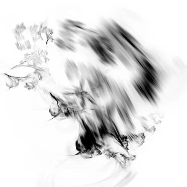 Blank Dust (Void Extras)