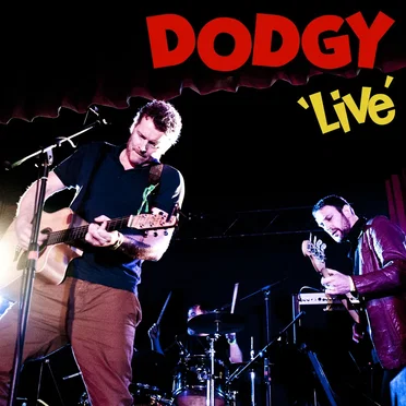 Live by Dodgy - album cover