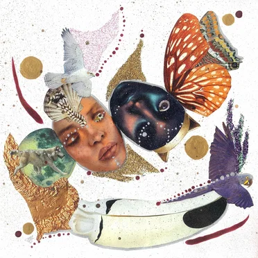 Ana Hata by SHÆLIN - album cover