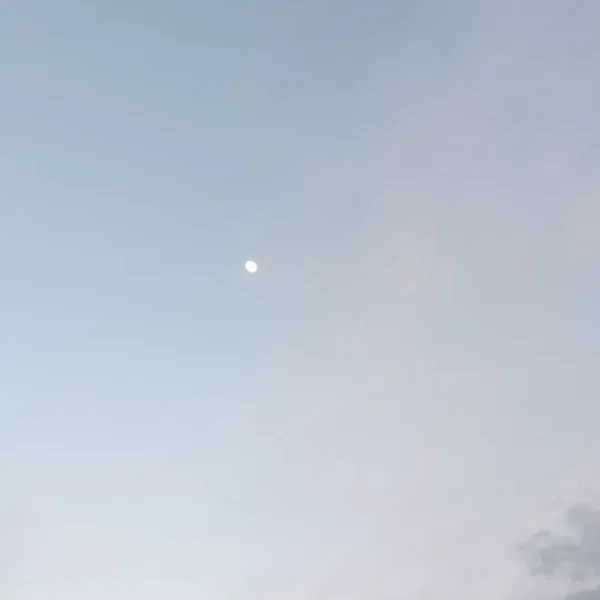 Still Air