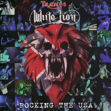 Rocking the USA