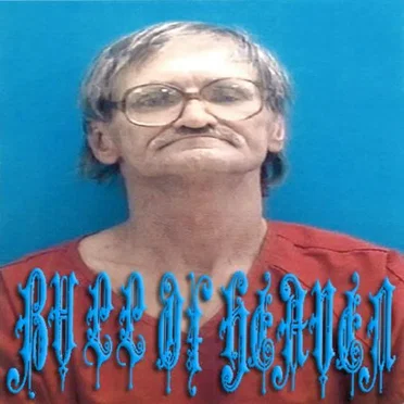 317: My Concerns Are Global by Bull of Heaven - album cover