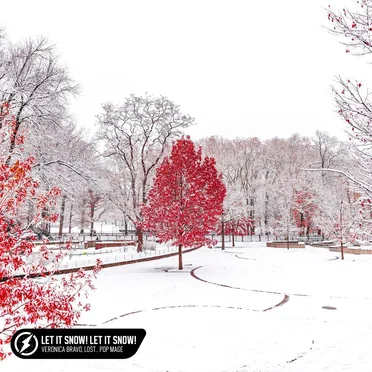 Let It Snow! Let It Snow! Let It Snow (acoustic)