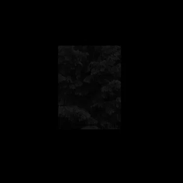 For Reasons That Will Never Be Known by Shadows Cast in Low Light - album cover