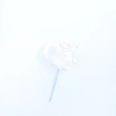 Ephemeral Beauty