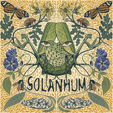 Rostratum by Solanhum - album cover