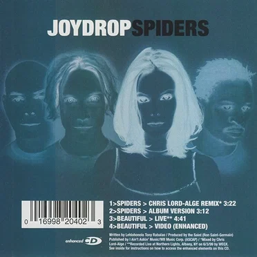 Spiders