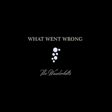 What Went Wrong by The Wonderbolts! - album cover