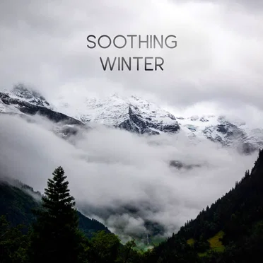 Soothing Winter by Various Artists - album cover