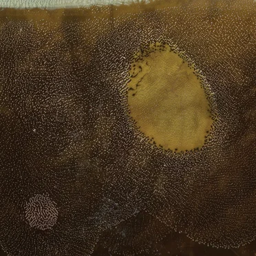 a floor, walls, and a ceiling