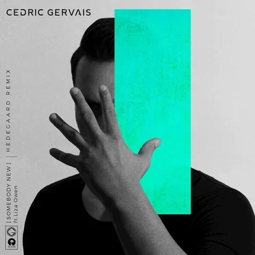 Somebody New (HEDEGAARD remix)
