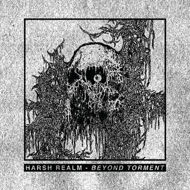 Beyond Torment by Harsh Realm - album cover