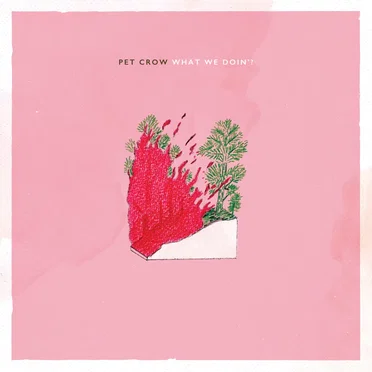 What We Doin’? by Pet Crow - album cover