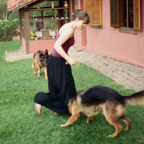 Dog (everybody learns)