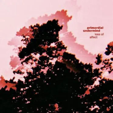 Primordial Undermind