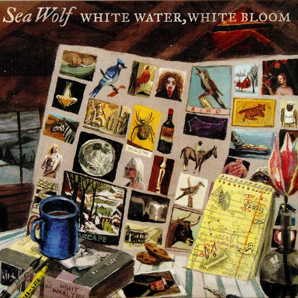 White Water, White Bloom