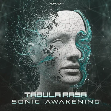Sonic Awakening