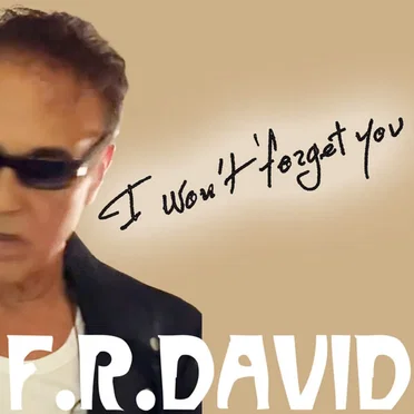 I Won't Forget You