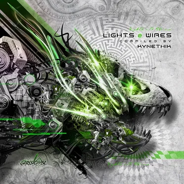 Lights and Wires by Various Artists - album cover