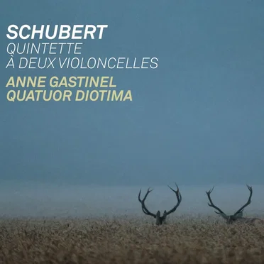Quintette à deux violoncelles