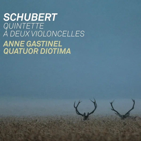 Quintette à deux violoncelles