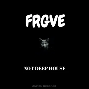 Not Deep House by Frgve - album cover