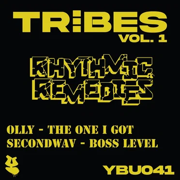 Tribes Vol.1 - Rhythmic Remedies by Various Artists - album cover