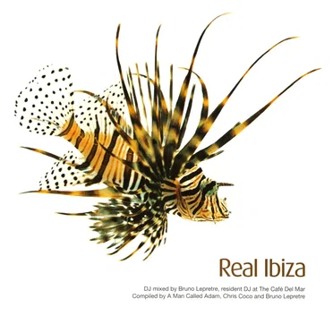 Real Ibiza by Various Artists - album cover