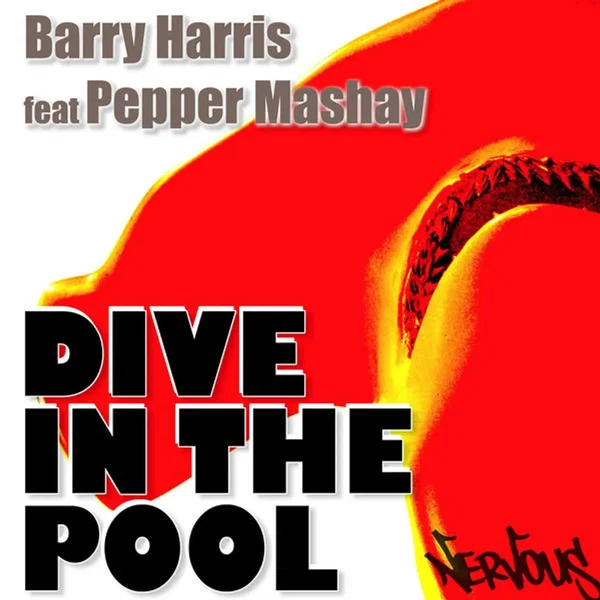 Dive In the Pool 2008