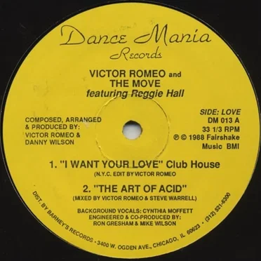 I Want Your Love