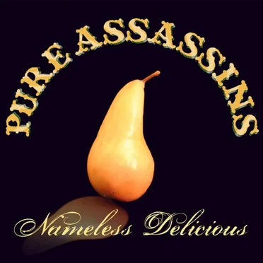 Nameless Delicious by Pure Assassins - album cover